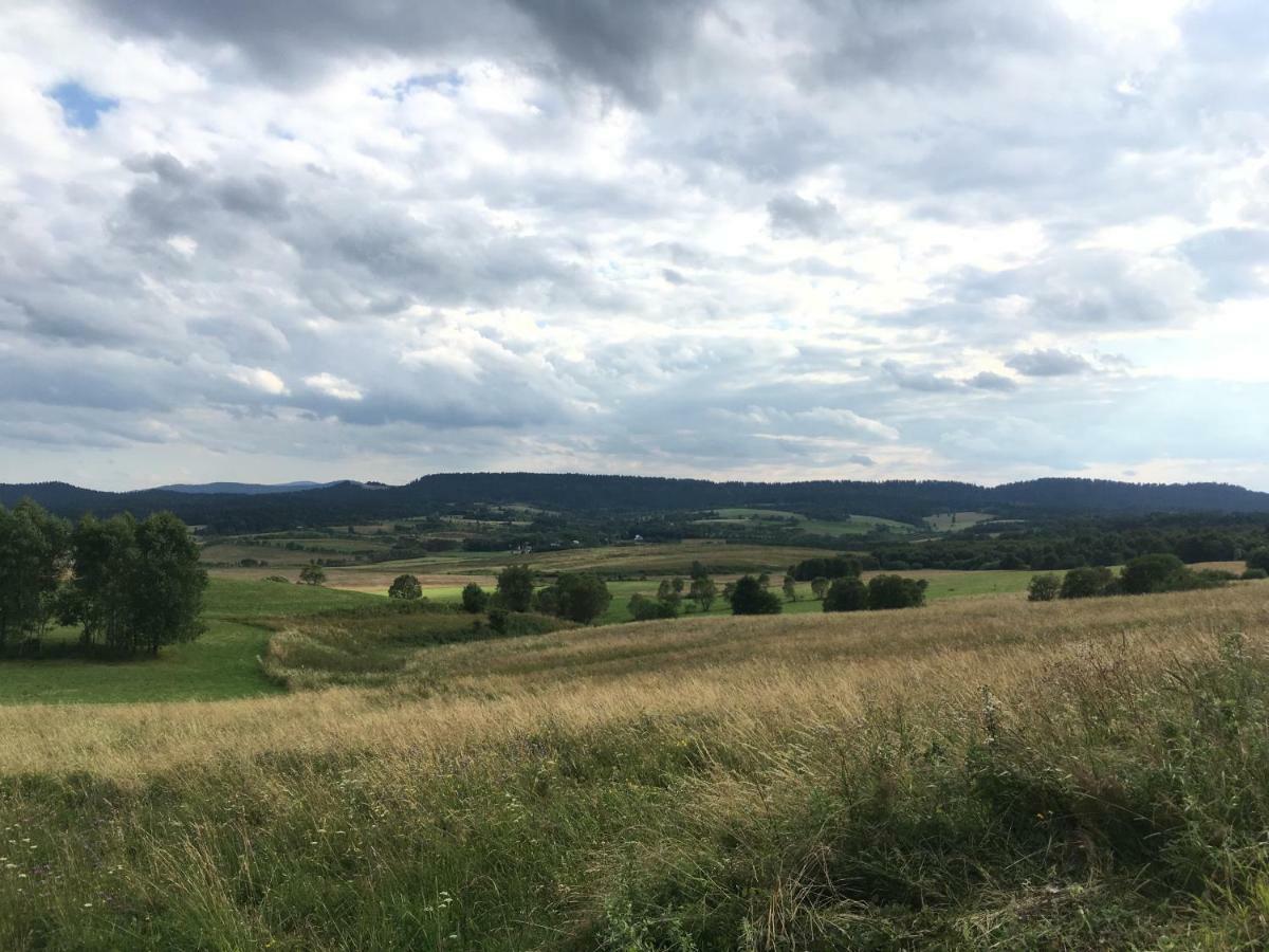 Pokoje U Bozeny I Zbyszka Lägenhet Lipie  Exteriör bild