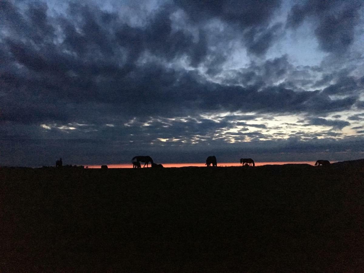 Pokoje U Bozeny I Zbyszka Lipie  Exteriör bild
