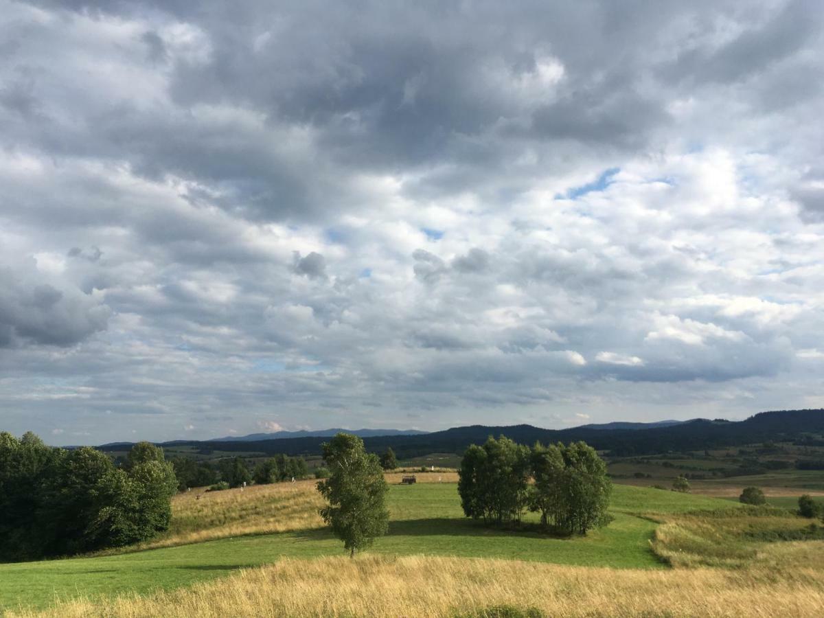 Pokoje U Bozeny I Zbyszka Lägenhet Lipie  Exteriör bild